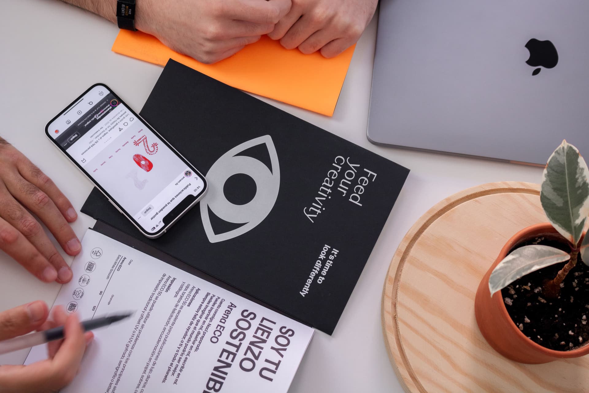 Branding en Alicante orientado a resultados - Chillypills