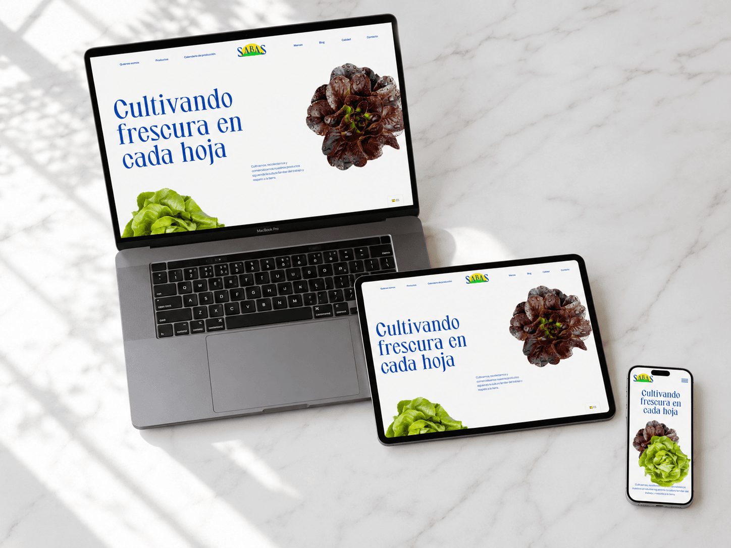 Diseño web responsive en múltiples dispositivos en Alicante - Chillypills