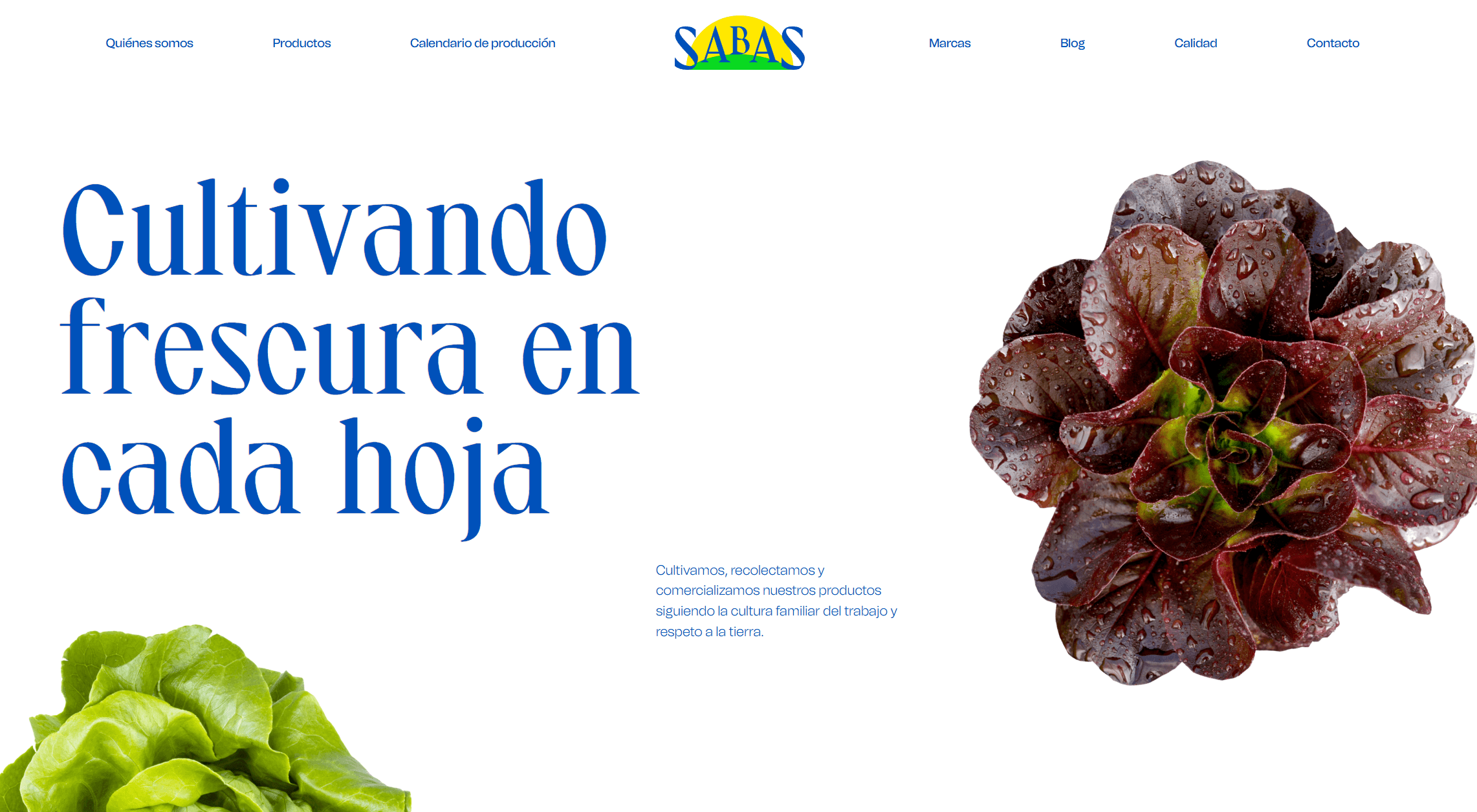 Agrosabas - SEM